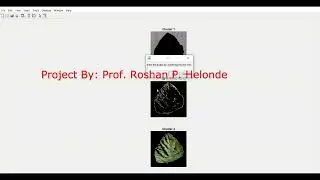 Tomato Plant Disease Identification Using Image Processing | Matlab Project With Source Code