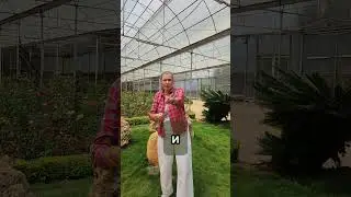 Чистка чтобы простить себя #чистки #энергетическоеочищение #энергетическиепрактики #асмрвидео #асмр