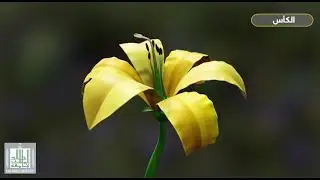 تركيب الزهرة