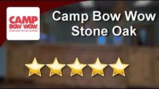 Camp Bow Wow Stone Oak San AntonioIncredible5 Star Review by Renee S.