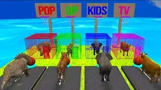 Basket Ball Game Game With Cow Mammoth Elephant Tiger Gorilla Dinosaur Wild Animal Escape Cage Game