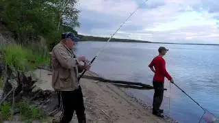 Ловля сомят на выползка часть 2