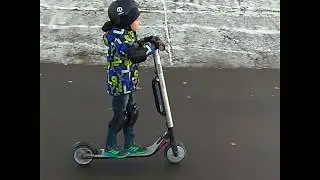 Электросамокат Ninebot by segway kickscooter ES2 