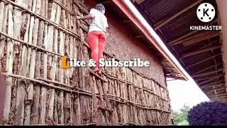 ጭቃ እየለጠፍኩ ነው #daniroyal #tsigeroyal #yetbi_tube_የተንቢ #donkeytube #ebs