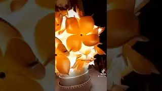 #Творчество