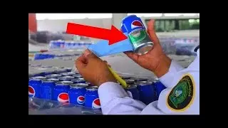The Weirdest Smuggling Attempts EVER
