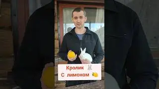 Кролик с лимоном 🍋