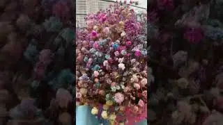 А вы думаете о том, что у вас есть? Или о том чего у вас нет?