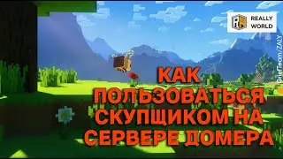 😱КАК ПОЛЬЗОВАТЬСЯ СКУПЩИКОМ НА СЕРВЕРЕ ДОМЕРА? КАК ПРОДАТЬ ПРЕДМЕТЫ СКУПЩИКУ НА REALLYWORLD