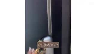 천안성인용품 천안러브센스 매장 브이로그