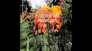 Robbie Wabi Sabi "Hallelujah" Official Video.