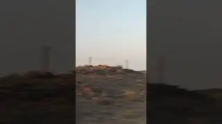 1 августа 2022 г.