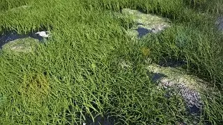 Creating Hyper Realistic Grass In 3D Studio Max 2015 & IRAY