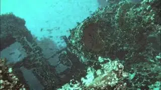 Marlin - Abyss