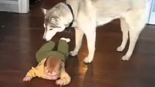 Винсент на ходу