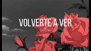 VOLVERTE A VER - SHDW