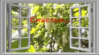 Что такое счастье? Эдуард Аркадьевич Асадов