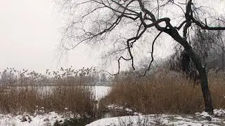 Minimal States - Memory Bank [Liberty Hoax [tube197]]