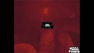 Klaskyklaskyklaskyklasky gummy bear song version in шпуля major squared