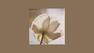 Lily of The Valley 은방울 x seasons Mashup