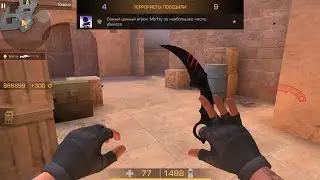#ma1ty