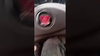 Российские 