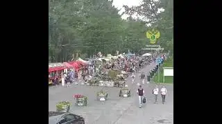 Дерево рухнуло на мужчину в петербургском парке на Крестовском острове во время непогоды.