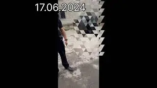 Оперативные службы. Ветка зависла. Природа решила.