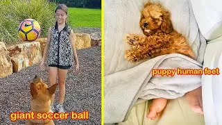 Misleading Photos You Need To Look At Twice To Understand
