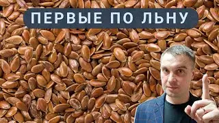 Россия - мировой лидер по производству льна // Галоп инфляции замедлился // Ресурс вместо базы