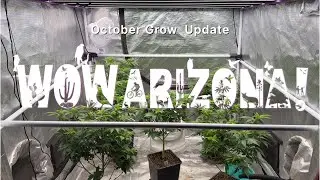 Grow Update 10-25-23