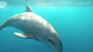 Boat trip