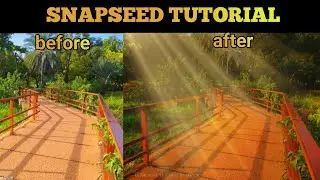 World Class photo editing tutorial with Mobile phone | Snapseed tutorial