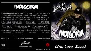 12. The Underachievers - Gold Soul Theory
