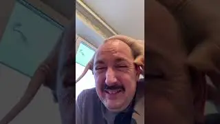 Знакомьтесь, сфинкс Хуся 🐱 