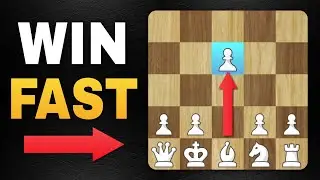 TOP 8 BEST Surprise Chess Openings