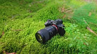 Macro Photography with Long-Nong Huang and the new TAMRON 90mm F/2.8 Di III Macro VXD