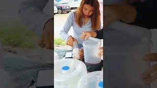 Choco Lava | Laos Food | Laos🇱🇦 | Vientiane 