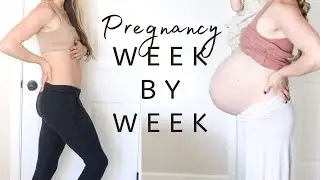 Pregnancy Belly Progression Week by Week