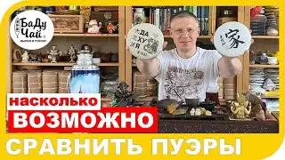 СРАВНЕНИЕ или ДЕГУСТАЦИЯ ШУ ПУЭРОВ  от Ильи Бадурова - ДА ХУ Я и ШУ ФА??? Какие они, когда вместе?