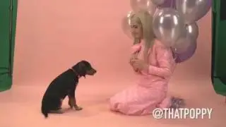POPPY KAMERA ARKASI İFŞA HERŞEY ÜNLÜ OLMAK İÇİNDİ