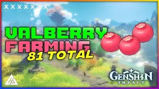 VALBERRY - 81 PCS. BEST ROUTE GUIDE | GENSHIN IMPACT | CG GAMES