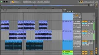 song #250 (trippy / tropical)
