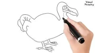 Dodo Bird Drawing Easy, How To Draw A Dodo Bird Flying For Beginners Step By Step