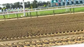 My view of the 2015 Belmont Stakes