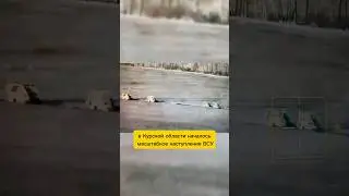 Курская область наступление курщина