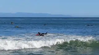 Surfing in Santa Cruz 2(2)