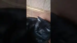 Работает😲😳