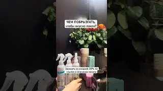 САМЫЕ ЛУЧШИЕ ОСВЕЖИТЕЛИ ВОЗДУХА? 