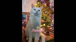С новым 2024 годом!